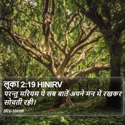 लूका 2:19 HINIRV Bible Verse Image