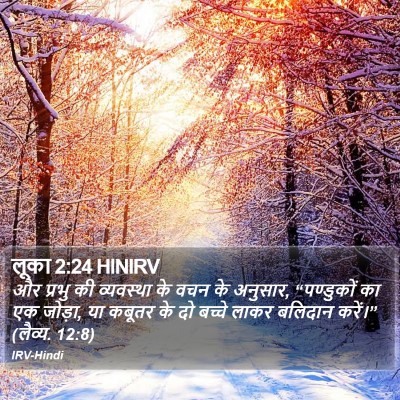 लूका 2:24 HINIRV Bible Verse Image