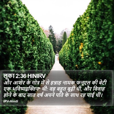 लूका 2:36 HINIRV Bible Verse Image