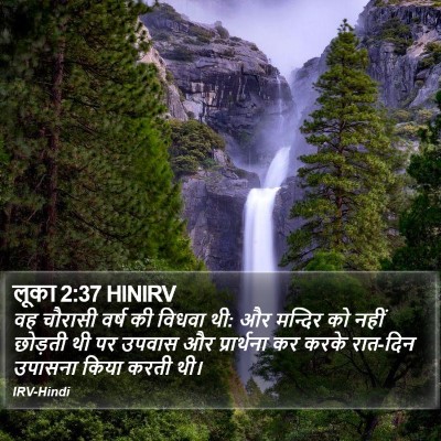 लूका 2:37 HINIRV Bible Verse Image