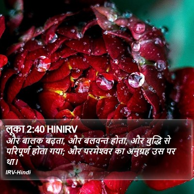 लूका 2:40 HINIRV Bible Verse Image