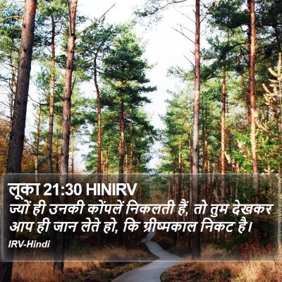 लूका 21:30 HINIRV Bible Verse Image