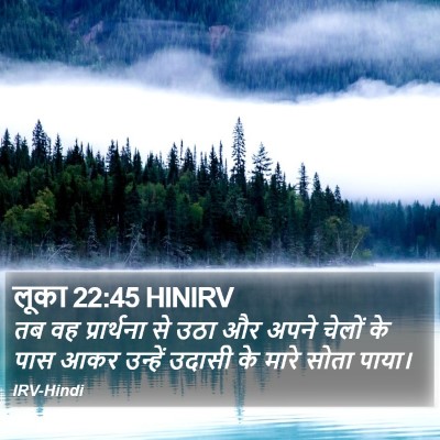 लूका 22:45 HINIRV Bible Verse Image