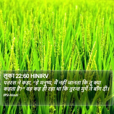 लूका 22:60 HINIRV Bible Verse Image
