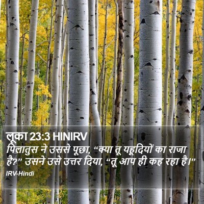 लूका 23:3 HINIRV Bible Verse Image