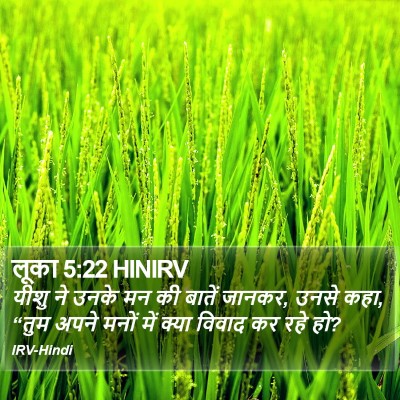 लूका 5:22 HINIRV Bible Verse Image