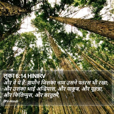 लूका 6:14 HINIRV Bible Verse Image