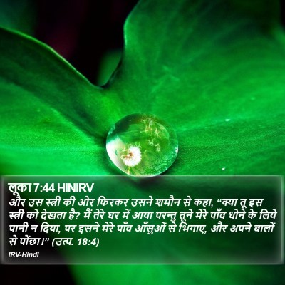लूका 7:44 HINIRV Bible Verse Image