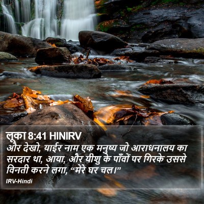 लूका 8:41 HINIRV Bible Verse Image