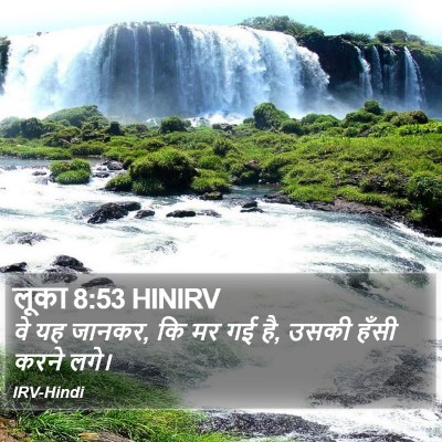 लूका 8:53 HINIRV Bible Verse Image