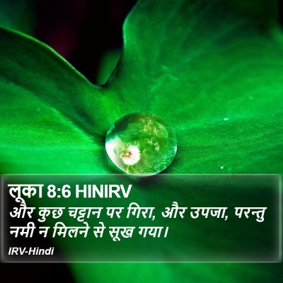 लूका 8:6 HINIRV Bible Verse Image