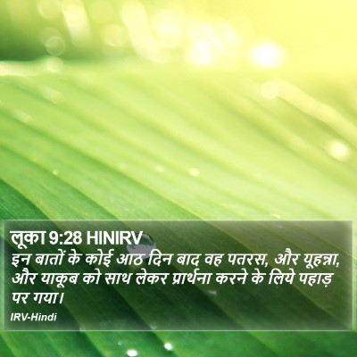 लूका 9:28 HINIRV Bible Verse Image