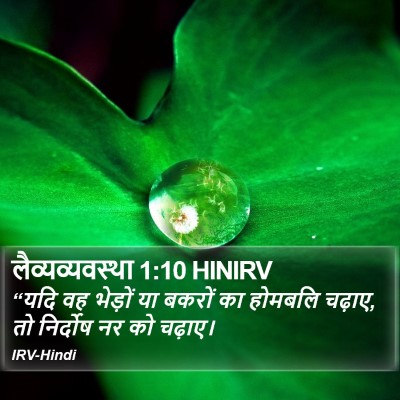 लैव्यव्यवस्था 1:10 HINIRV Bible Verse Image
