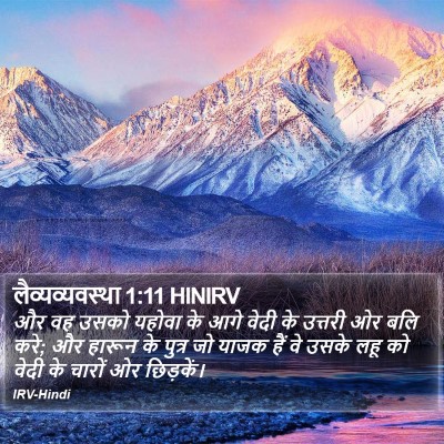 लैव्यव्यवस्था 1:11 HINIRV Bible Verse Image