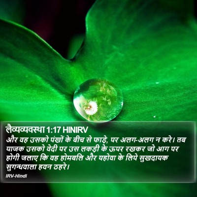 लैव्यव्यवस्था 1:17 HINIRV Bible Verse Image