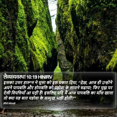 लैव्यव्यवस्था 10:19 HINIRV Bible Verse Image