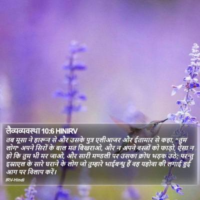 लैव्यव्यवस्था 10:6 HINIRV Bible Verse Image