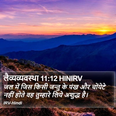 लैव्यव्यवस्था 11:12 HINIRV Bible Verse Image