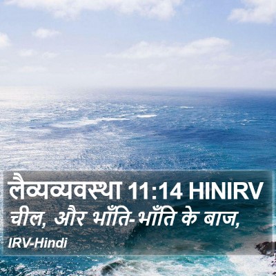 लैव्यव्यवस्था 11:14 HINIRV Bible Verse Image