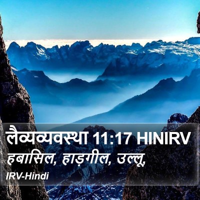लैव्यव्यवस्था 11:17 HINIRV Bible Verse Image