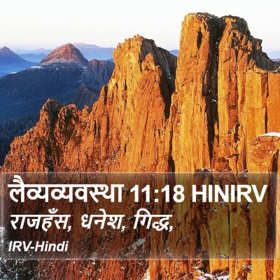 लैव्यव्यवस्था 11:18 HINIRV Bible Verse Image