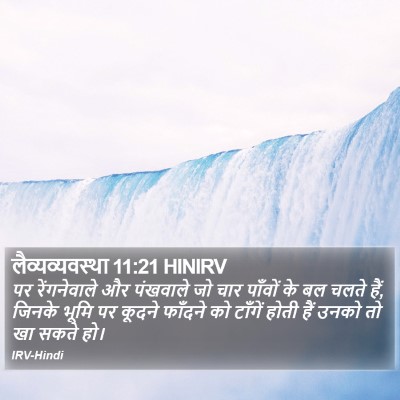 लैव्यव्यवस्था 11:21 HINIRV Bible Verse Image
