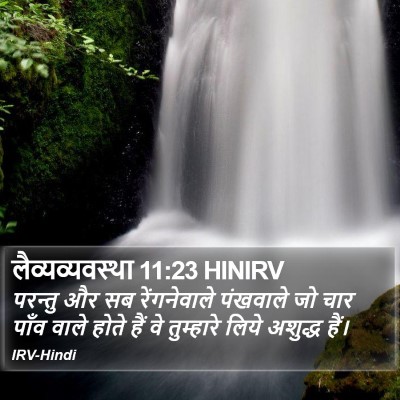 लैव्यव्यवस्था 11:23 HINIRV Bible Verse Image