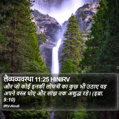 लैव्यव्यवस्था 11:25 HINIRV Bible Verse Image