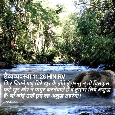 लैव्यव्यवस्था 11:26 HINIRV Bible Verse Image
