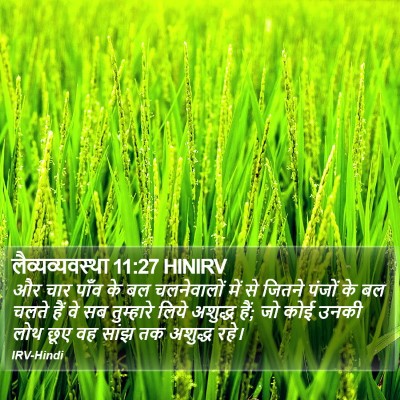 लैव्यव्यवस्था 11:27 HINIRV Bible Verse Image