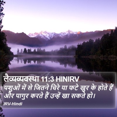 लैव्यव्यवस्था 11:3 HINIRV Bible Verse Image