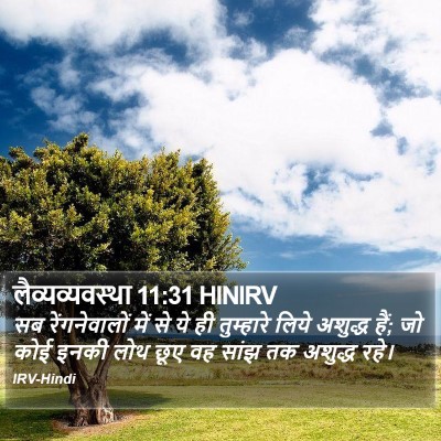 लैव्यव्यवस्था 11:31 HINIRV Bible Verse Image