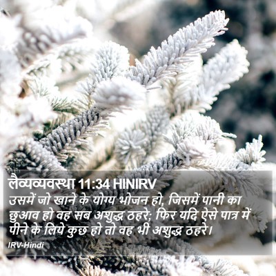 लैव्यव्यवस्था 11:34 HINIRV Bible Verse Image