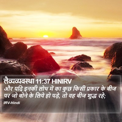 लैव्यव्यवस्था 11:37 HINIRV Bible Verse Image