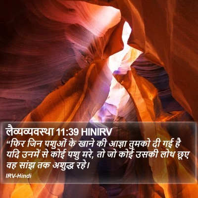 लैव्यव्यवस्था 11:39 HINIRV Bible Verse Image