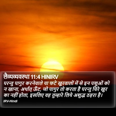 लैव्यव्यवस्था 11:4 HINIRV Bible Verse Image
