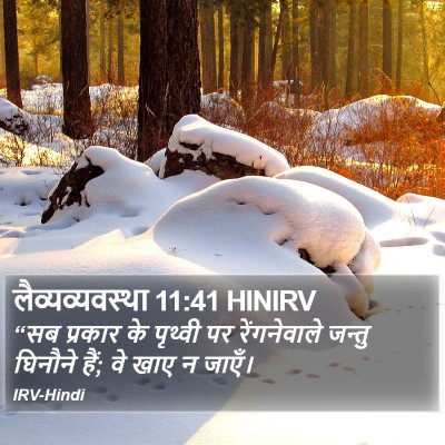 लैव्यव्यवस्था 11:41 HINIRV Bible Verse Image