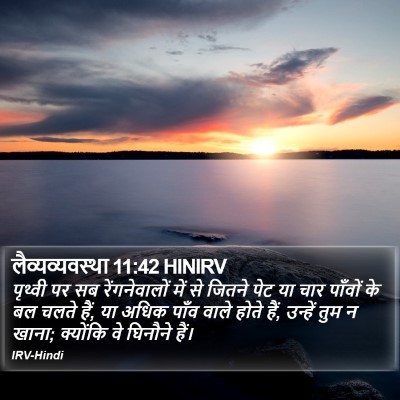 लैव्यव्यवस्था 11:42 HINIRV Bible Verse Image