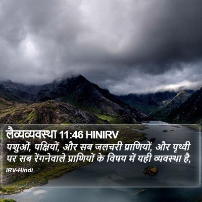 लैव्यव्यवस्था 11:46 HINIRV Bible Verse Image
