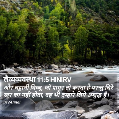 लैव्यव्यवस्था 11:5 HINIRV Bible Verse Image