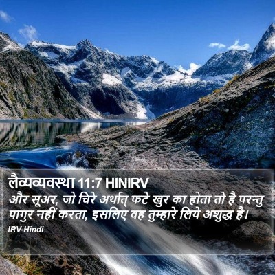 लैव्यव्यवस्था 11:7 HINIRV Bible Verse Image