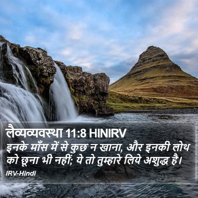 लैव्यव्यवस्था 11:8 HINIRV Bible Verse Image
