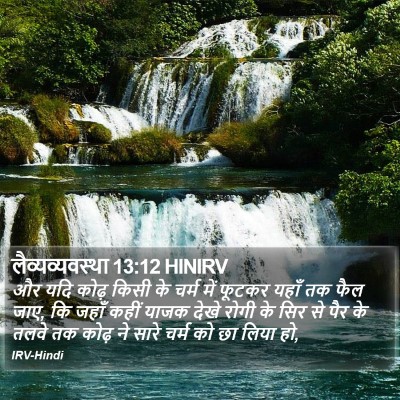 लैव्यव्यवस्था 13:12 HINIRV Bible Verse Image