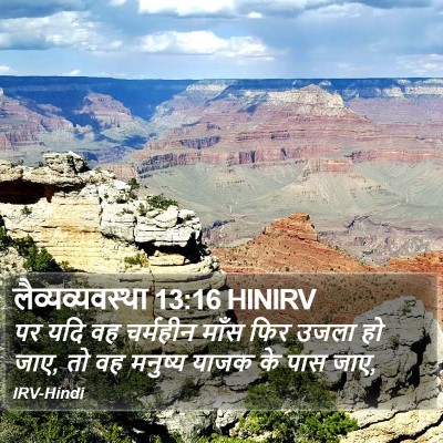 लैव्यव्यवस्था 13:16 HINIRV Bible Verse Image