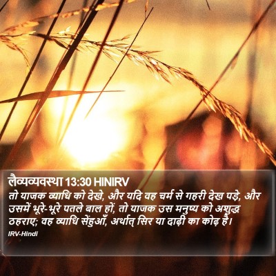 लैव्यव्यवस्था 13:30 HINIRV Bible Verse Image