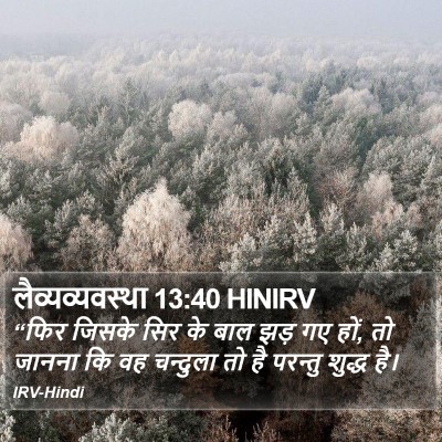लैव्यव्यवस्था 13:40 HINIRV Bible Verse Image