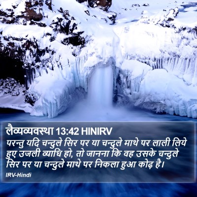 लैव्यव्यवस्था 13:42 HINIRV Bible Verse Image