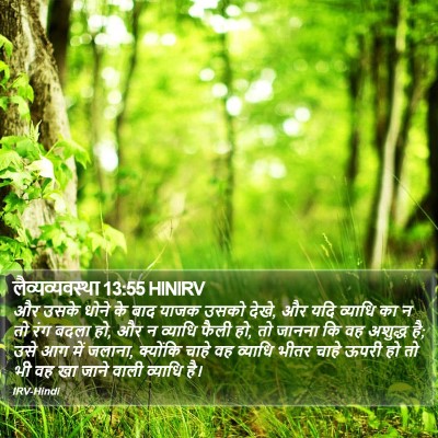 लैव्यव्यवस्था 13:55 HINIRV Bible Verse Image