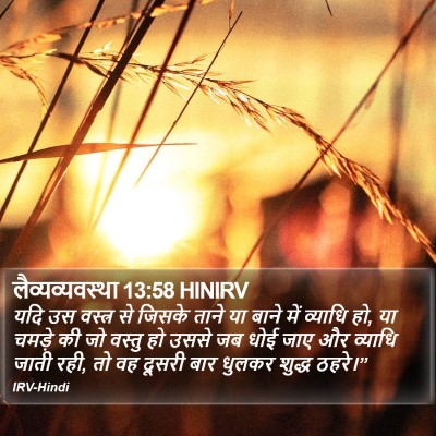 लैव्यव्यवस्था 13:58 HINIRV Bible Verse Image
