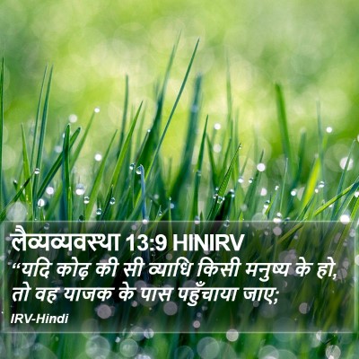 लैव्यव्यवस्था 13:9 HINIRV Bible Verse Image